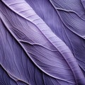 Lavender Leaf: Organic Contours And Gorgeous Colors In Uhd