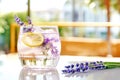 Lavender lemonade with lavender flowers, lemon and ice cubes on blurred restaurant interior background