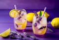 Lavender lemonade with ice and lemon in the drinking glass Royalty Free Stock Photo