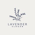 Lavender Logo, Simple Elegant Purple Flower Plant Vector, Greeting Card Design, Banner, Flower Ornament, Lavender Hand Drawn Royalty Free Stock Photo