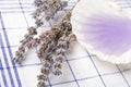 Lavender massage oil Royalty Free Stock Photo