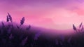 Lavender meadow at sunset. Nature background. Vector illustration