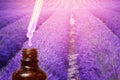 Lavender oil with dropping pipette. Background is purple. Concept beauty of nature