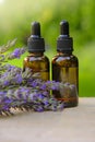 Lavender oil and lavender sprigs on blurred green background.Base cosmetic oil for massage and care for face and body