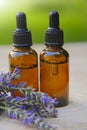 Lavender oil and lavender sprigs on blurred green background.Base oil for massage and care for face and body. Lavender