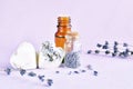 Lavender oil, soap and dry flowers Royalty Free Stock Photo