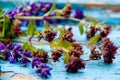 The lavender on the old shabby paint in the village. The summer Royalty Free Stock Photo