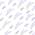 Lavender pattern with purple flowers and branches. Seamless floral background