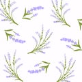 Lavender pattern with purple flowers and leaf. Seamless floral background