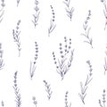 Lavender pattern. Seamless floral background, outlined lavendar flowers, branches. Repeating print, botanical texture
