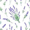 Lavender pattern. Seamless France garden herbal print with flowers bouquets. Decorative floral background. Summer