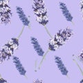 Lavender pattern seamless print textile provence watercolor flowering flora flowers plants spring