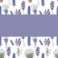 Lavender pattern seamless twigs bouquet print textile provence watercolor flowering flora flowers plants