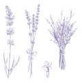 Lavender pencil drawing set