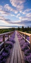 Lavender Petal Covered Pedestrian Bridges In Acadia National Park