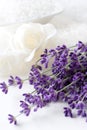 Lavender plant and bathsalt Royalty Free Stock Photo