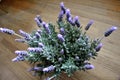 Lavender plant in full bloom against rustic wood Royalty Free Stock Photo