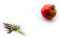 Lavender and pomegranade. Royalty Free Stock Photo