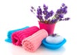 Lavender from the Provence in the bathroom Royalty Free Stock Photo