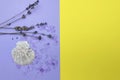 Lavender, purple bath salt, shell on a two-tone background. Yellow-purple background. Space text.