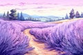 Lavender purple field violet landscape nature summer plant beauty flower