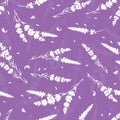 Lavender purple vector seamless repeat pattern. Royalty Free Stock Photo