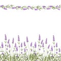 The Lavender Seamless frame line