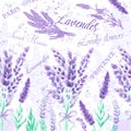 Lavender seamless pattern Watercolor imitation design with paint splashes Floral print Vector illustration Provence