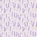 Lavender seamless repeat pattern vector background, floral Royalty Free Stock Photo