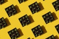 Lavender seedlings pattern on a yellow background. Sunny flat lay photo. Minimal sunlight concept