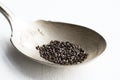 Lavender Seeds on a Vintage Spoon