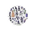 Lavender set composition in doodle style. Royalty Free Stock Photo