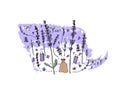 Lavender set composition in doodle style. Royalty Free Stock Photo