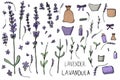Lavender set composition in doodle style. Royalty Free Stock Photo