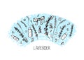 Lavender set composition in doodle style. Royalty Free Stock Photo