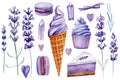 Lavender set, flowers and sweets. Ice cream, piece of cake, macaroon, watercolor illustration, isolated white background Royalty Free Stock Photo