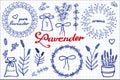 Lavender set. Hand-drawn cartoon lavandula