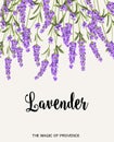 Lavender sign label