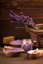 Lavender Royalty Free Stock Photo