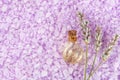 Lavender spa setting: salt, essential oil and dried flowers natural spa products and decor for bath on light background