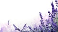 Lavender sprigs photo realistic illustration - Generative AI.