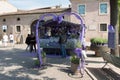 Lavender stall in Borghetto, Valeggio sul Mincio, Veneto, Italy Royalty Free Stock Photo