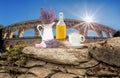 Lavender still life against Pont du Gard aqueduct in Provence, France Royalty Free Stock Photo