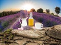 Lavender still life with cup of coffee against fields in Provence, France Royalty Free Stock Photo