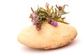 Lavender on stone Royalty Free Stock Photo