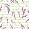 Lavender stripes vector seamless repeat pattern. Royalty Free Stock Photo