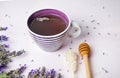 Lavender tea with fresh flowers and sugar stick Royalty Free Stock Photo