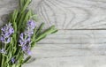 Lavender tuft hanging under the roof and drying on the background of old textured wood