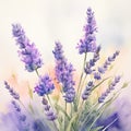 Lavender twigs, branch, watercolor painting. Purple and violet floral elements. Lavender flowers. Generative AI