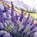 Lavender twigs, branch, watercolor painting. Purple and violet floral elements. Lavender flowers. Generative AI